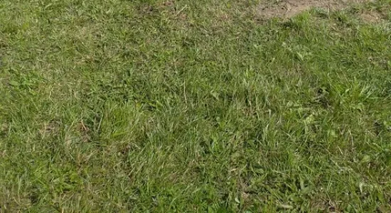 dfedb031413af11d639d6f156dbd8db1