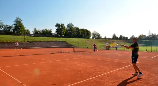  DSC565