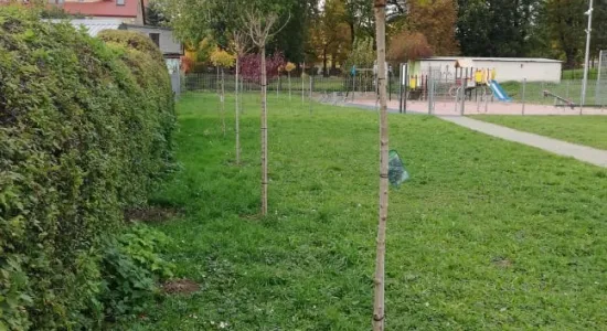 253652332 3085496065031284 795237150228161294 n (002