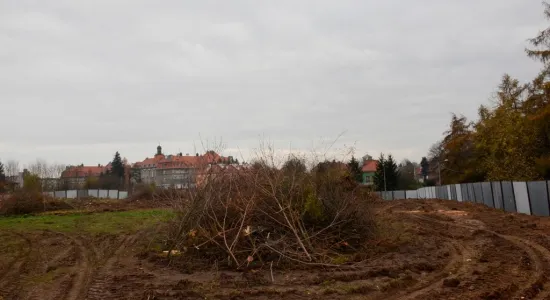  DSC360