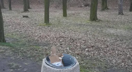 Resized 20200402 072027 4577