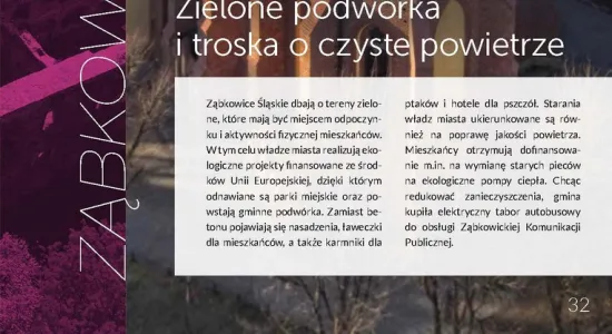 czyste zielona miasta strona 3