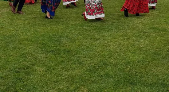 450205439 459423600443207 2031537490594600472 