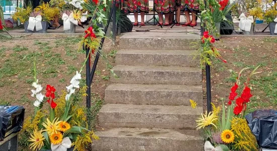 456775227 435441596193887 4414709056679824236 