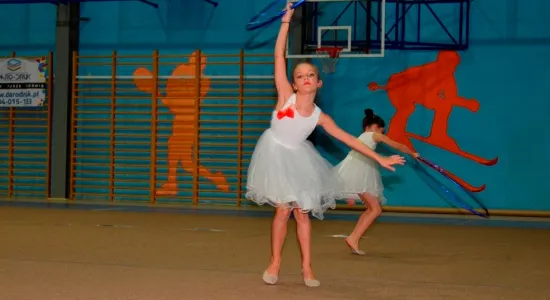  DSC877