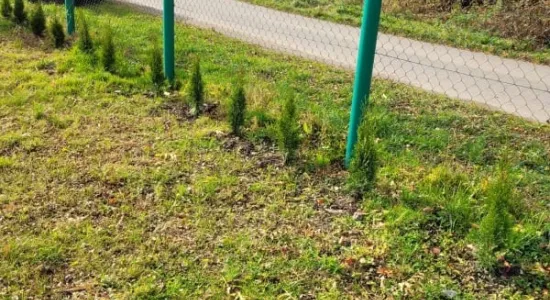 252605373 635073207903298 488963082233747080 n (002