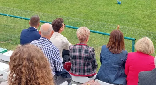 449056864 786296903492217 1714341757705667914 