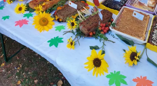 456108472 1180705503256082 4244582715069456900 