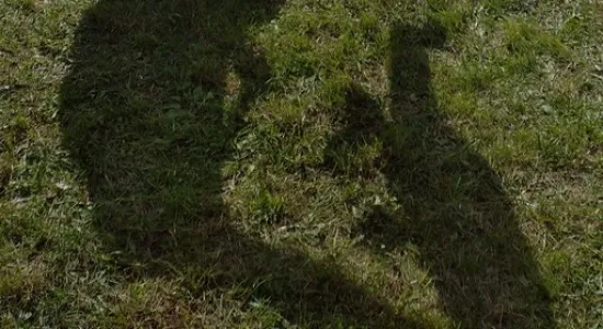 f9f0f410bc05a07df4d14cd9767f3613