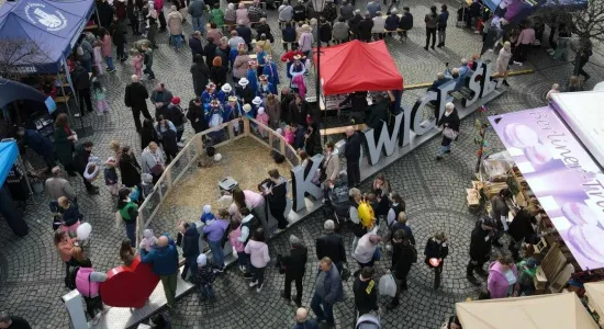 433377905 834740861796846 4393928552104378220 