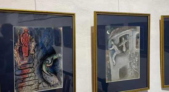 fc044cf67bcf572bf9b55485cc450742