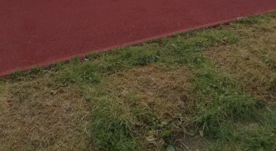 fd418cd195cfff60fc3b619b2fc1e3ed