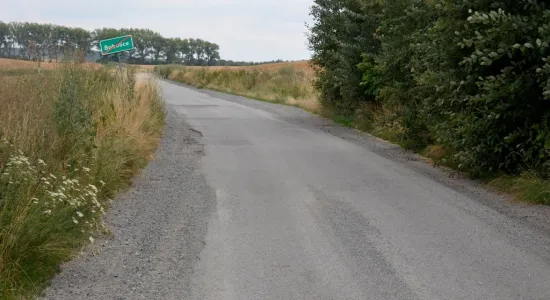  DSC219