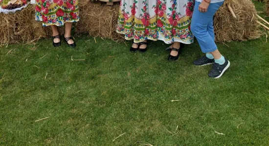 fe16adbec7204cbae7ce17e37387f91c