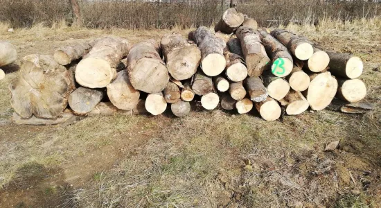 fed37a85c2c1c36921ab965a321cffaa