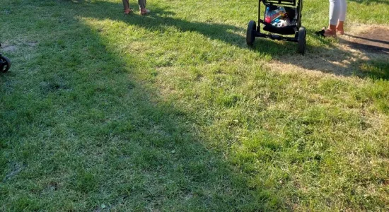 349023608 1188810805132310 4750896519482958904 