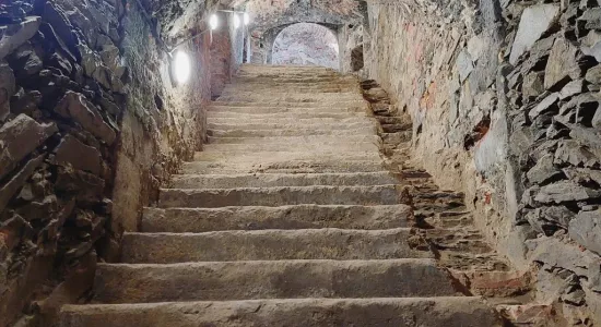 56742582 261562618082778 2926798244019175424 