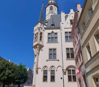 lokal użytkowy "Grota" na wynajem