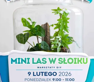 LAS W SŁOIKU