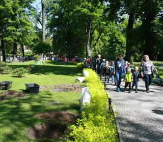 IMG 335