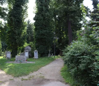 07d02c6b081d8a8c6dea5c0f9c8a8633