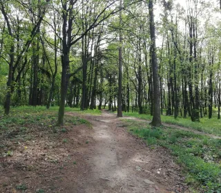  DSC700