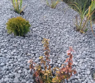 247486331 242872187887622 3133375889449252386 n (002