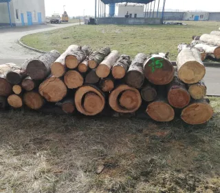 0c2fd44c7f50bfc928a67628d508c161