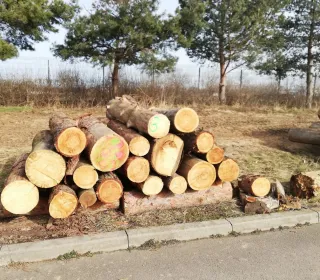 0df00bc6f369862011e7c90124655a3f