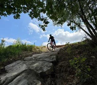 452222646 26301285252818955 4560025247659065968 