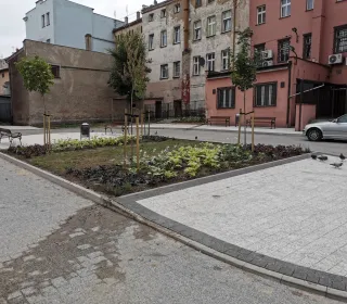 IMG 20190705 080113 resized 20190715 12482811