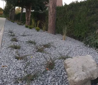 247335561 169916868593562 2028044743219623005 n (002