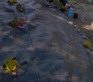 1bd12f79536e2d3ad16ca5b70558646a