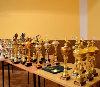 DSC413