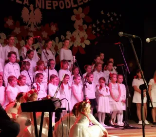 246721295 1033481800823700 2775495357518227451 