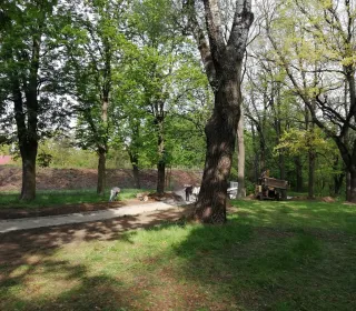 park (14