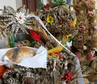 240877747 572064890603004 2406546487509588139 