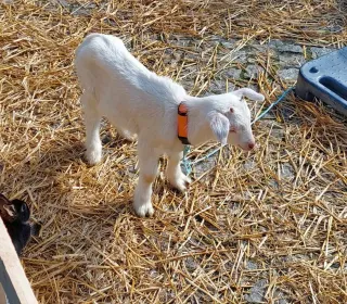 433187634 7994611427233560 6956257236503823715 