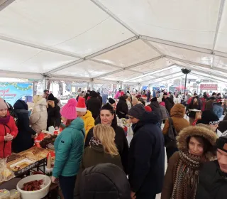 29c31ea142d8826a2c59c15f9eb346fa