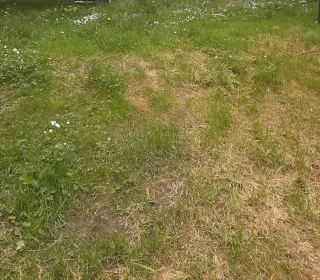 2af2492ac1924444eff5c57ac90db37e