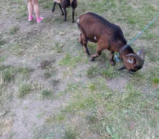 351211521 713289927235773 6823314774275404165 