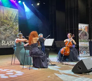 335650b098c7cb07150d1abb85664b87