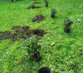 34b4e1b385ee197105f592c0dc17a5cf