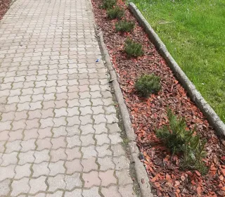 37cd6b1d63e7cc518abc0081a44805d2