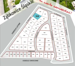 MAPKA 21-