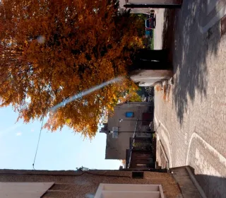  DSC323