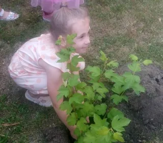 49650994e37edc33a1d589a025eebb7e