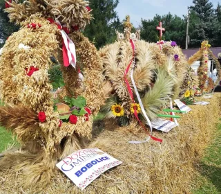 IMG 20190825 13562