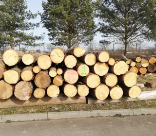 4efcdf29d792774e80695186c7a00fdd