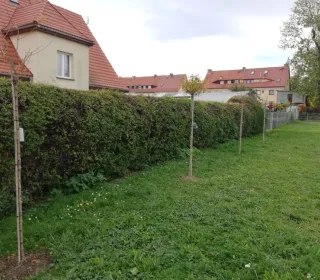 253199536 1959195034237825 2343647852330515171 n (002